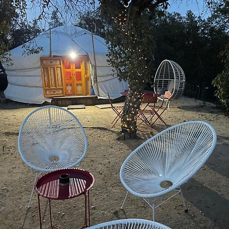 Au Soleil Mongol Bed and Breakfast Sorède Εξωτερικό φωτογραφία