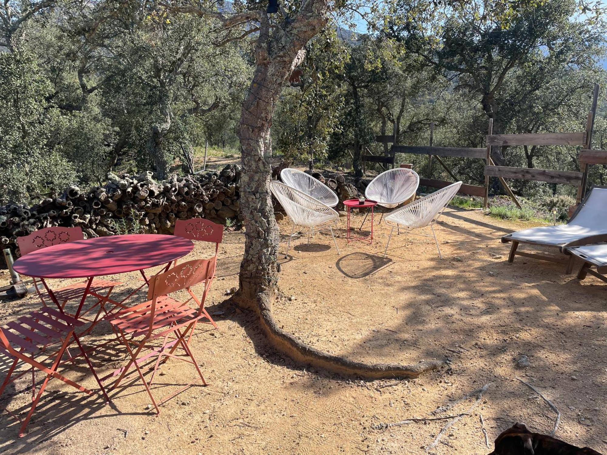 Au Soleil Mongol Bed and Breakfast Sorède Εξωτερικό φωτογραφία
