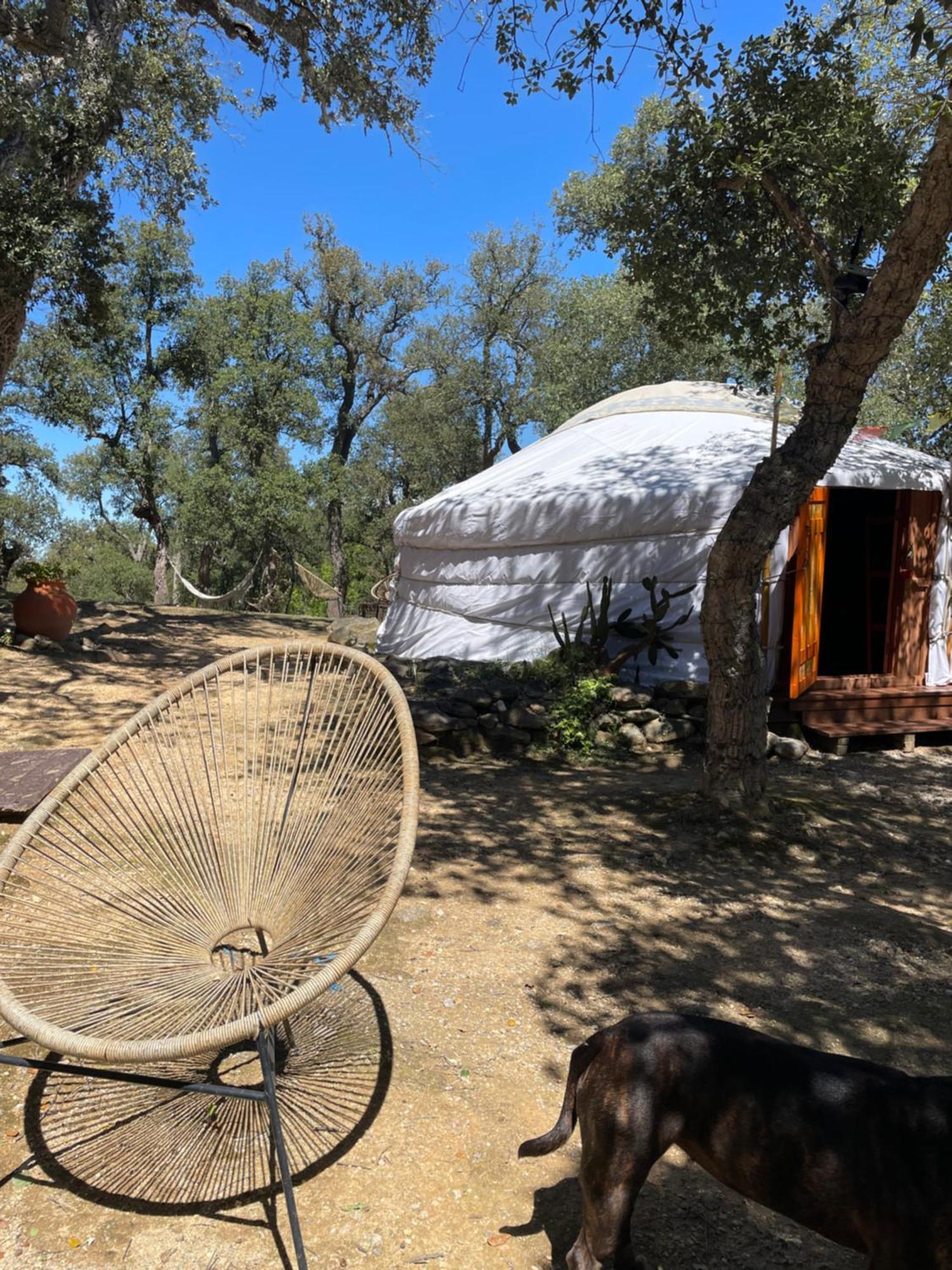 Au Soleil Mongol Bed and Breakfast Sorède Εξωτερικό φωτογραφία