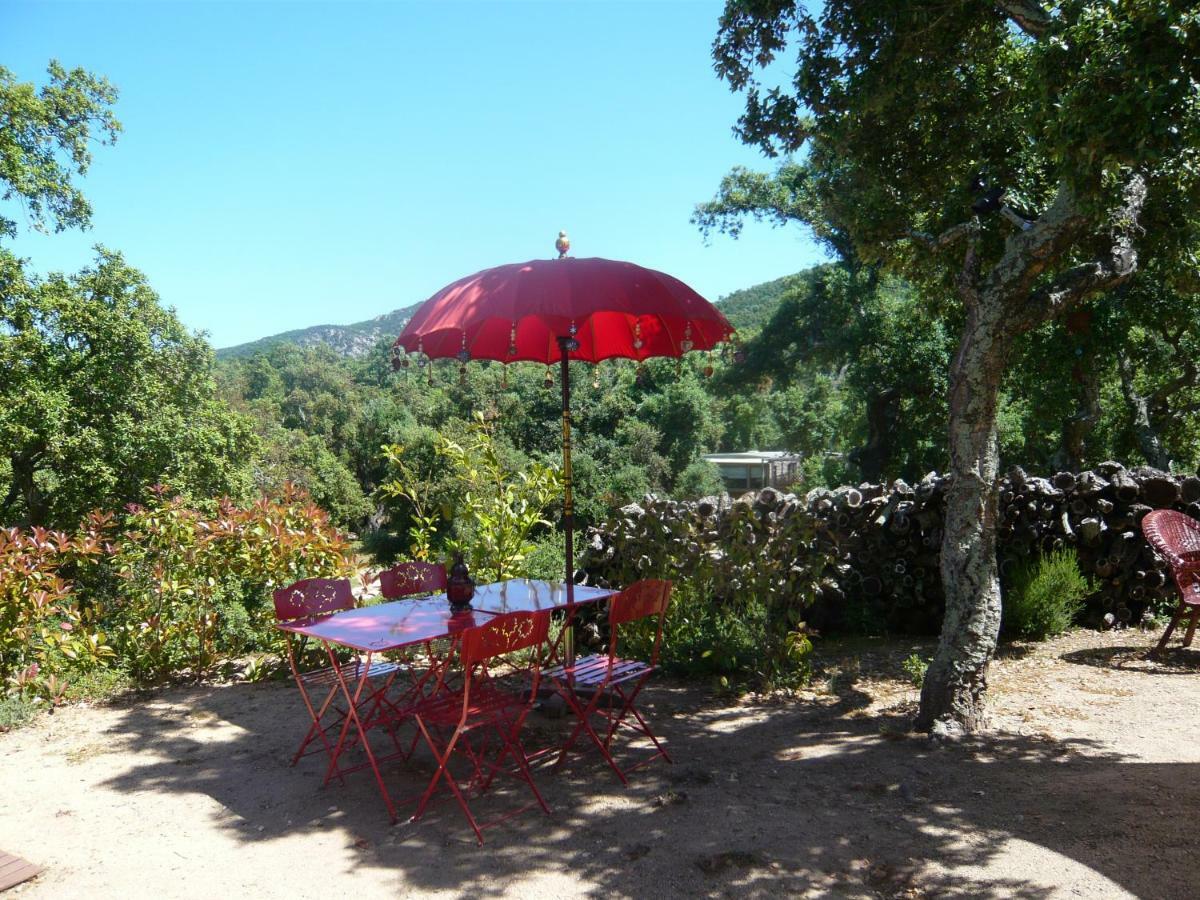Au Soleil Mongol Bed and Breakfast Sorède Εξωτερικό φωτογραφία